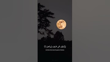 "نَبِّئْ عِبَادِي أَنِّي أَنَا الْغَفُورُ الرَّحِيمُ " |القارئ : هزاع البلوشي 🤍