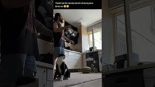 En Komik Yorumlar Kısa Ve Eğlenceli Video