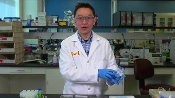 Western Blotting: How to Optimize Your Signal to Noise