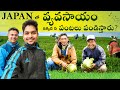 Inside Japan's Hi-tech Agricultural Farms in a Village | @JapanSai
