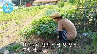 Country Story of City Couple EP.123