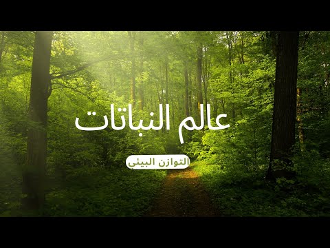 عالم النباتات