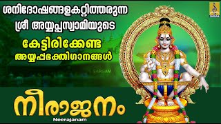 നീരാജനം | Ayyappa Devotional Songs | Hindu Devotional Songs | Neeranjanam #ayyappaswamysongs