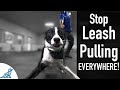 How To Teach Your Dog Not To Pull On The Leash, EVER! - Professional Dog Training Tips