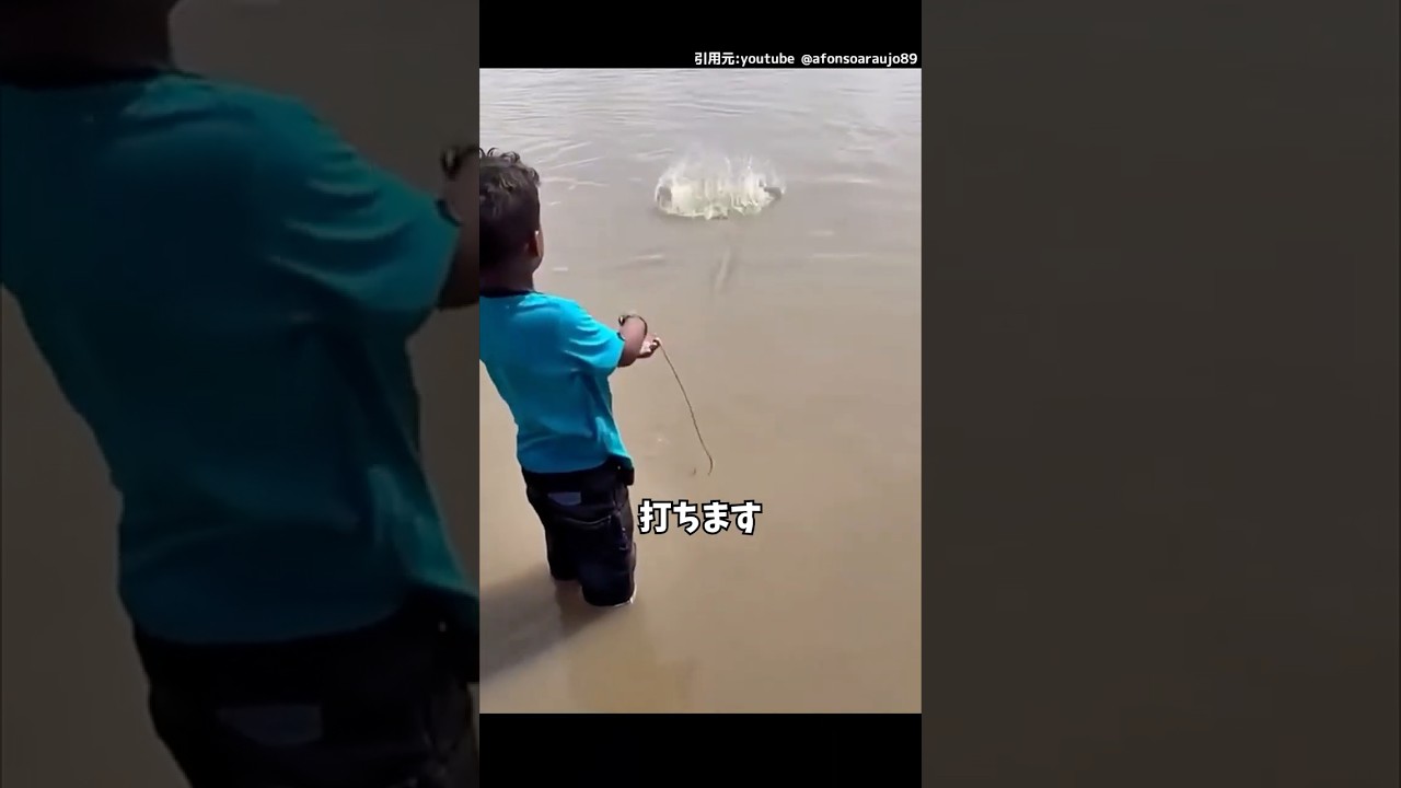 ちび投網師。#釣り#漁師#投網#fishing #shorts
