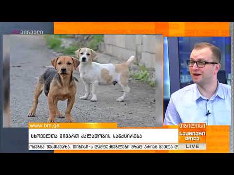 ცხოველებისადმი სასტიკად მოპყრობის შემთხვევაში კანონმდებლობა მკაცრდება