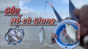 Một ngày câu cá Hồ Cà Giang Bình Thuận .bắt gặp lưới thủ |   #vlogsngẫunhiên