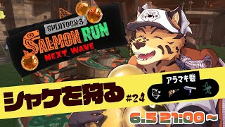 【サーモンランNW/参加型/アラマキ＃24】井戸でボトル冷やしておいたからね…【樫城槌/Vtuber】