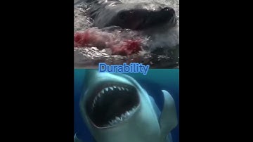 bruce the shark (jaws) vs bruce the shark (finding nemo)