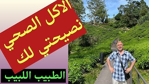 الاكل الصحي ما هو وكم نأكل منه؟