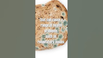 NEVER eat the clean part of moldy bread #shorts