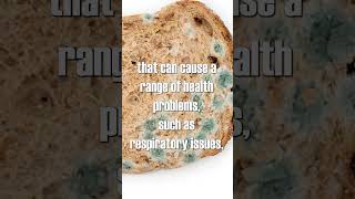 NEVER eat the clean part of moldy bread #shorts