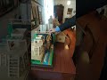 Rural school museum.Verkh-Padunka settlement,Topkinsky district,Kemerovo region,Russia Fragment 25-5