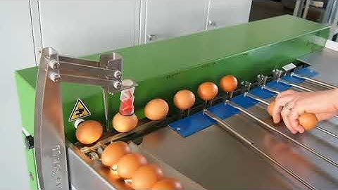 Egg grader S21