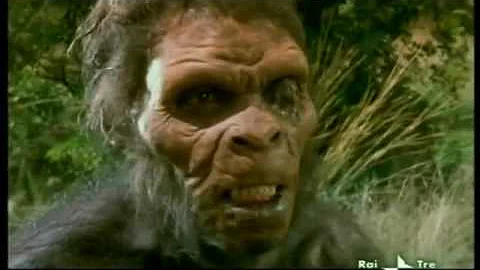 Come l Homo erectus ha scoperto il fuoco?