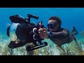 Freediving underwater cameraman ft andr musgrove