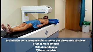 Análisis de la composición corporal por diferentes técnicas