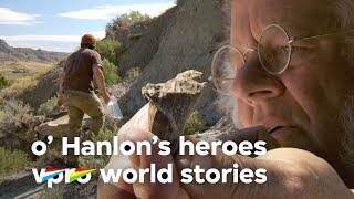 Spotting dino bones on Cow Island - O'Hanlon's heroes