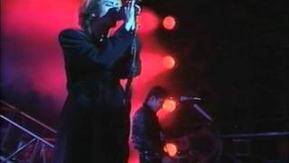 D'ERLANGER - THE ETERNITIES/LAST LIVE④