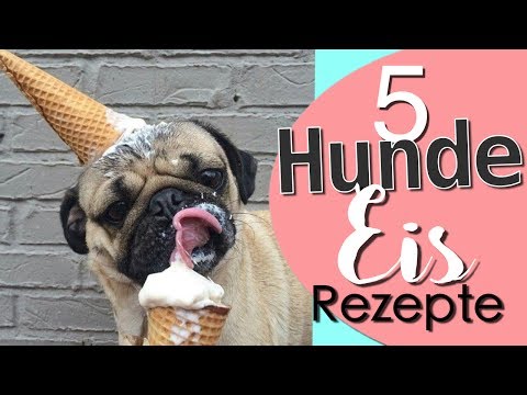 Video: Wie Man Eiscreme Für Hunde Herstellt