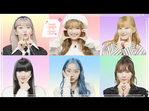 늎 New Face Billlieㅣ미스틱에 가면 꽃밭 도 있고 고라니도 있고 없는 게 없는 빌리 연합뉴스통통컬처 