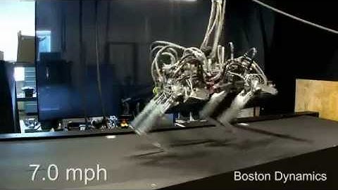 Cheetah Robot runs 28.3 mph a bit faster than Usain Bolt