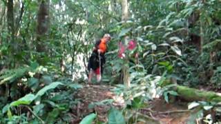 MVI_2434.AVI