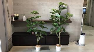 フィカスウンベラータ 人工樹木 フェイクグリーン 人工観葉植物