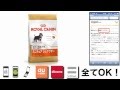 ロイヤルカナン ミニチュアシュナウザー 成犬・高齢犬用 3kg 格安&無料価格でGETする方法を期間限定で紹介中