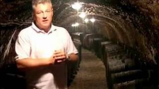 How to control the humidity and temperature in a cellar while aging wine in oak barrels; learn more about wine in this free ...