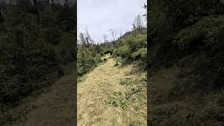 weed eat first then cut brush, then clear Road of brush and debris.