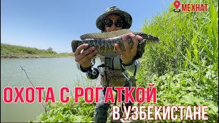 Охота с рогаткой в Узбекистане/Рыбалка/Дикие трофеи