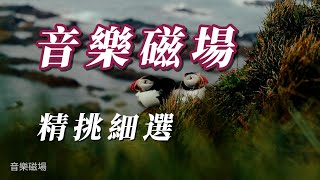 (音樂𥔵場)精挑細選。 😗😗😗😗😗VOL1
