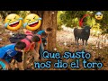 Nos fuimos de aventura, Nos asusto el toro 🤣🤣🤣🤣🦬🦬🦬🦬🦬