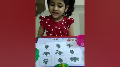Shadow matching activity for kids | Idika Mishra | Preschool learning | Learn Visual Discrimination