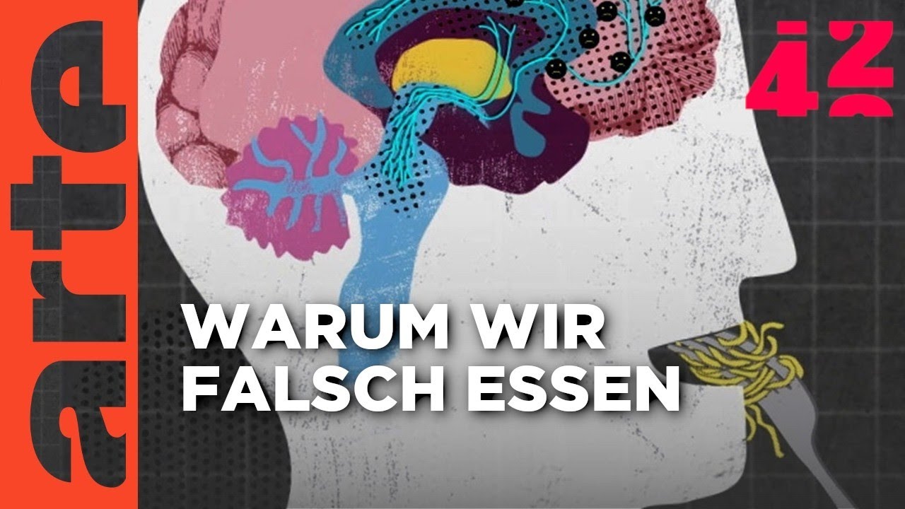 Warum essen wir, was wir essen?  | 42 - Die Antwort auf fast alles Reupload | ARTE
