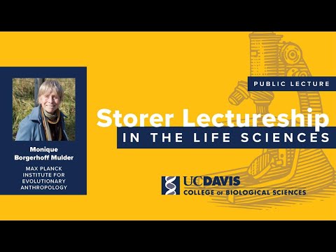 Storer Lecture (Peer