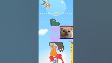 Cat Stack - 24 meters - Gameplay Walkthrough (iOS & Android) #shorts #games #funny
