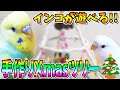 ロープパーチで作る☆★クリスマスツリー★☆