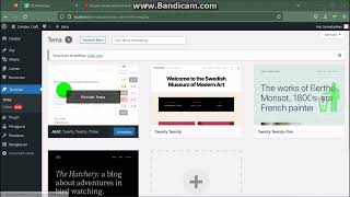 Memunculkan Menu pada Tampilan atau Appearance wordpress