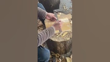 Traditional Tool used for roughly shaping and removing bark from large timber logs