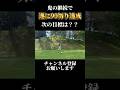 【達成】90切り達成しました。スコアは〇〇‼️次の目標は?? #shorts #ゴルフ #ゴルフスイング #80切り #golf #ドライバー #ドライバーショット