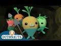Octonauts The Vegimals Save The Day Full Episodes Cartoons For Kids 