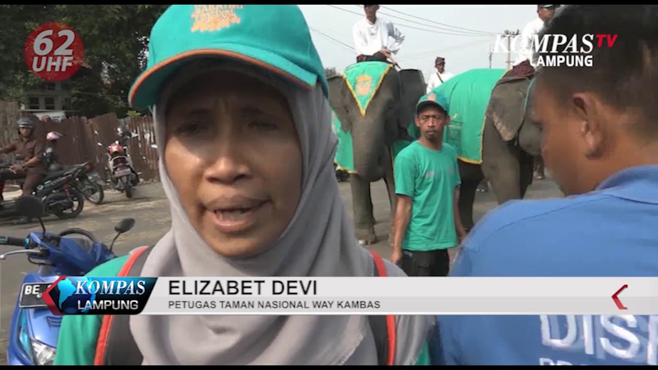 MENGENAL BUDAYA DI FESTIVAL KRAKATAU