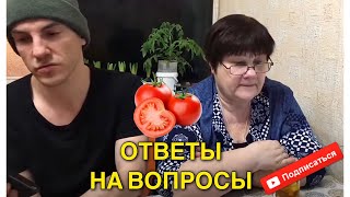 Выбор семян томатов 2021! Какие помидоры будем выращивать? / семейные посиделки