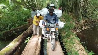 WHO: Rapidly ending an Ebola outbreak