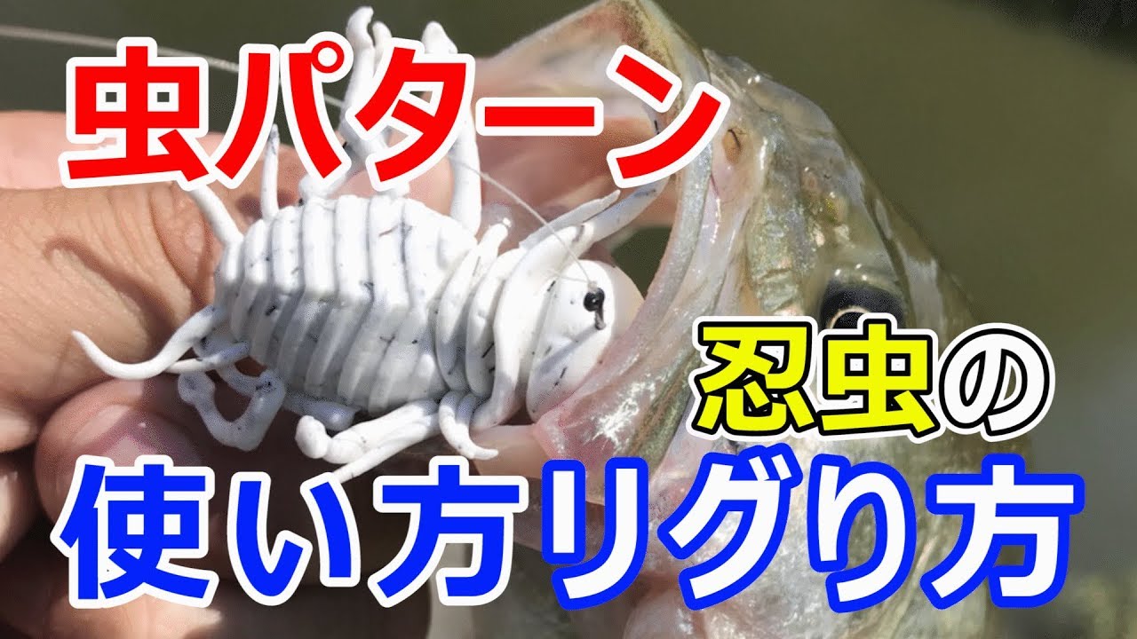 人気爆発中の沈虫を試す 本当に釣れる五三川の必殺ワーム 岐阜のバス釣り攻略 Nt Bassfishing