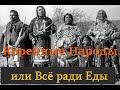 Коренные Народы или Всё ради Еды.