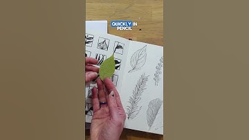 5 Easy Sketchbook Exercises to Spark Your Creativity