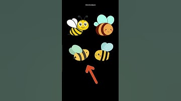 Ultimate Memory Test: How Good is Your Recall?